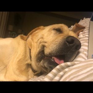 Meet your Posher, Carly